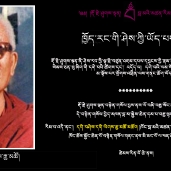 ཁོང་རྣམས་ནོར་ཡོད་མ་རེད།